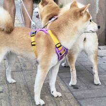 Adjustable Padded Reflective Oxford Cloth Anti-Pulling Dog Harness, Suitable For Large Dogs. No-Pull Dog Harness, Front Clip, Heavy-Duty Reflective Design, With Easy-Control Handle, Suitable For Walking Large Dogs. - Purple - View 11