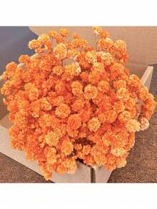 25/50/100/300 朵迷你满天星 - 用于树脂模具艺术和工艺品，象牙白花束，可用于发饰、婚礼花环、餐桌中心装饰品、家居装饰等。 - 橘色 - 查看 10