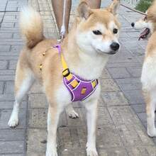 Adjustable Padded Reflective Oxford Cloth Anti-Pulling Dog Harness, Suitable For Large Dogs. No-Pull Dog Harness, Front Clip, Heavy-Duty Reflective Design, With Easy-Control Handle, Suitable For Walking Large Dogs. - Purple - View 10
