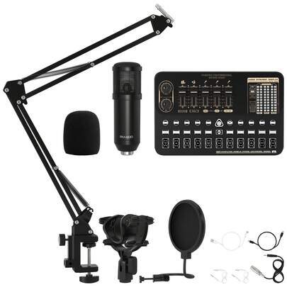 V10 Live Sound Card Set Condenser M800 Microphone Mobile Karaoke Computer Live Equipment Set