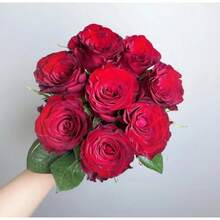 Semi di fiori - Visualizzare 4