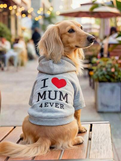 PETCIRCLE 1 bộ quần áo cho thú cưng, trang phục ngoài trời và trong nhà, kiểu dáng Châu Âu và Hàn Quốc dành cho chó Poodle, Teddy, chó nhỏ và chó con, áo nỉ thoải mái thường ngày "Tôi yêu mẹ"