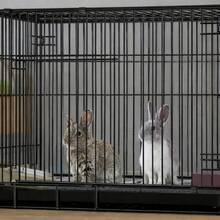 Foldable Pet Cages, Cat Cages, Dog Cages, Rabbit Cages, Thickened Iron Cages, Small And Medium-Sized Dog Cages With Toilets, Pet Cages For Cats And Villas. - Black - View 9