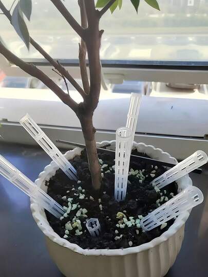 20pcs/10pcs Transparent Plastic Soil Aeration Tubes, Suitable For Plants - Lightweight Plant Root Ventilation Pipes, Transparent Drainage Tubes, Prevent Root Rot And Improve Drainage, Suitable For Indoor And Outdoor Use, Enhance Plant Ventilation, Geometric Design, Lightweight Design