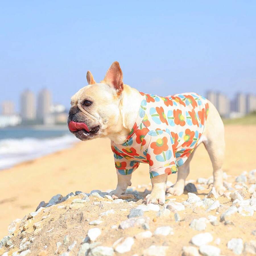 Pet Clothing Set - Red - View 1