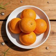 Plant Seeds - View 3