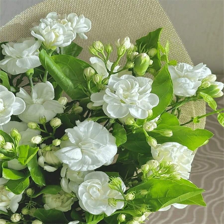 Semi di fiori - Visualizzare 1