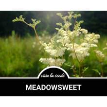 Flower Seeds - View 5