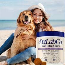 Pet Probiotic Chews, Support Intestinal Health, Nutritional Supplement, Promote Digestion And Absorption, Suitable For All Dog Breeds, Enhance Immunity, Support Hairball Elimination, Halloween Limited Time Offer - View 4