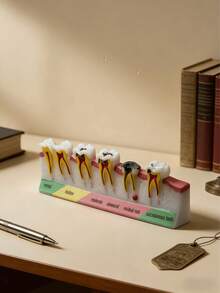 Dental Model Decor, Educational Tooth Anatomy Display With Detailed Cross-Section Design Featuring Enamel, Dentin, Pulp Structure, Caries Simulation, For Dental Health Demonstration, Medical Teaching Aid, Science Classroom Decoration, Learning Desk Display, Realistic Model For Dental Students, Doctor's Office Decor - Multicolor 1 - View 4