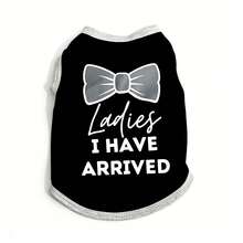 8 Cute Pet Summer Clothes, Breathable And Comfortable Polyester Woven Vest, Letter Print Thin T-Shirt, Suitable For Small And Medium Dogs And Cats - Multicolor - View 6