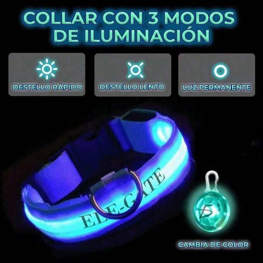 Collar Para Mascota Iluminado Con Luz Led y Bola Led RGB - Multicolor - Ver 1