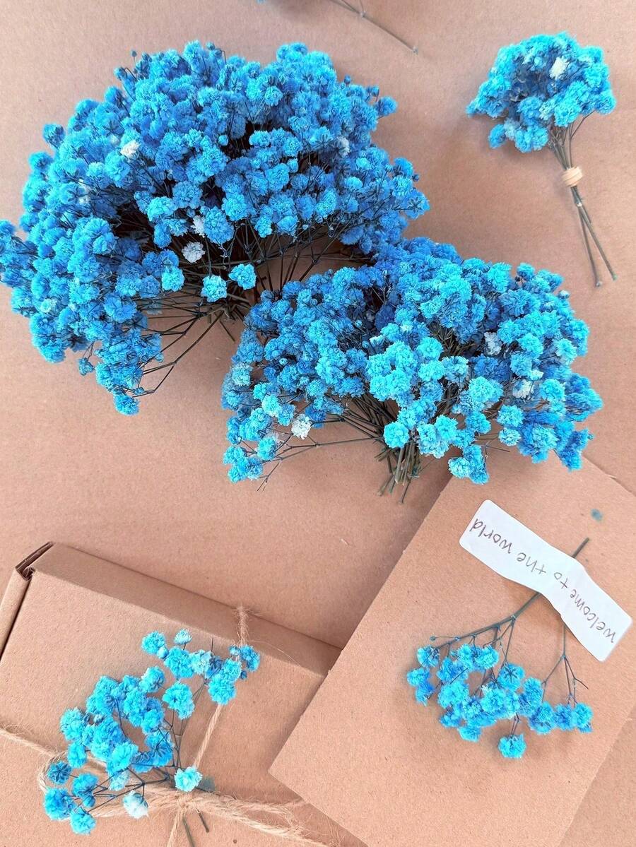 25/50/100/300 朵迷你满天星 - 用于树脂模具艺术和工艺品,象牙白花束,可用于发饰、婚礼花环、餐桌花艺、家居装饰等。 - 深藍色 - 查看 1