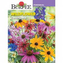 Flower Seeds - View 4