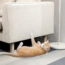 1卷透明厨房保护膜，防水、防油、阻燃、防霉、可移除背胶，适用于桌面、墙壁、咖啡桌、餐桌、家具、大理石翻新等。 - 家具膜 - 查看 7