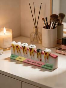 Dental Model Decor, Educational Tooth Anatomy Display With Detailed Cross-Section Design Featuring Enamel, Dentin, Pulp Structure, Caries Simulation, For Dental Health Demonstration, Medical Teaching Aid, Science Classroom Decoration, Learning Desk Display, Realistic Model For Dental Students, Doctor's Office Decor - Multicolor 1 - View 5
