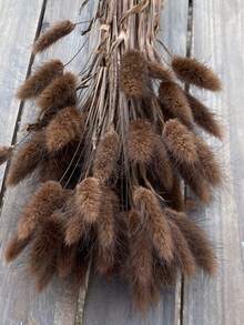 30~240pcs 17-Inch Multicolor Artificial Rabbit Tail Grass, Home Decor Artificial Rabbit Tail Grass Stems, Suitable For Bohemian Style Floral Arrangements, DIY Crafts, Home Kitchen And Wedding Decorations, Christmas Decorations - Coffee Brown - View 2