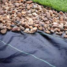 Shade Cloth - สีดำ ขนาด 2*10 เมตร - ดู 9