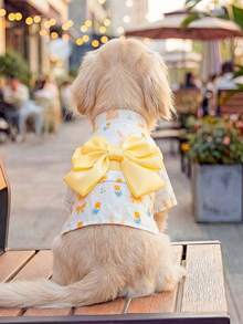 PETCIRCLE 1pc Pet Clothes, Outdoor & Indoor Apparel, European & Korean Style, Suitable For Poodle, Teddy, Small Dog & Puppy, Casual Yukata - Yellow Bow Tie - Multicolor - View 1