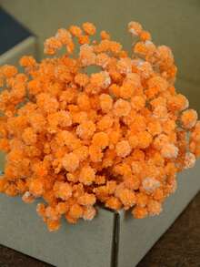 Laranja