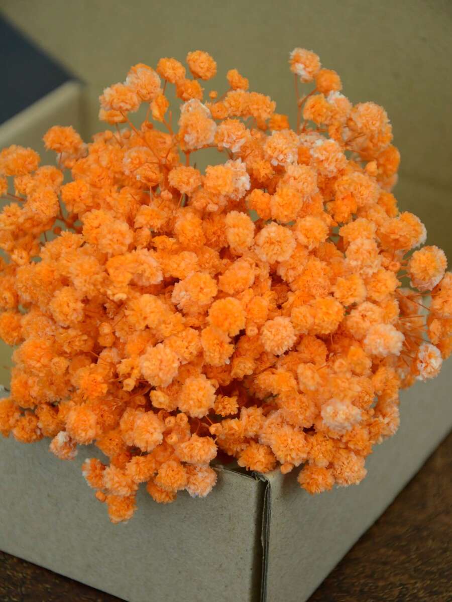 25/50/100/300 朵迷你满天星 - 用于树脂模具艺术和工艺品,象牙白花束,可用于发饰、婚礼花环、餐桌中心装饰品、家居装饰等。 - 橘色 - 查看 1