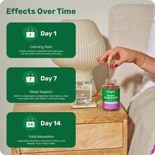 Fungies Lion's Mane Mushroom Gummies, Mixed Blueberry & Strawberry Flavor - Mushroom Supplement Gummy For Adults & Children , Cognitive Function, 60 Servings - Reishi - View 4