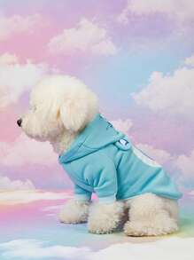 Care Bears X PETSIN Áo hoodie cho chó mèo dáng suông, in hình gấu nhỏ dễ thương, tai 3D trang trí, màu xanh dương, thoải mái. - Màu xanh lam - Xem 2