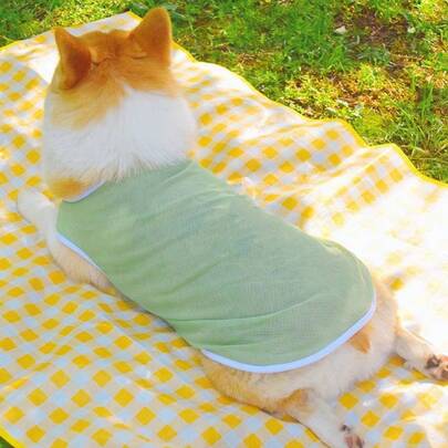 Áo khoác không tay nhẹ cho thú cưng cỡ nhỏ/trung bình như Shiba Inu, Corgi, Teddy, thoáng khí, chống rụng lông và chống nắng mùa hè.