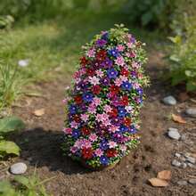 300 Graines de Clématite, Plante Grimpante, Fleurs Multicolores pour Balcon et Jardin - Voir 6