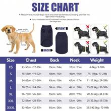 1 pieza Suéter para perro de unicolor acogedor, ropa para perro ligera y elástica de lavado de alfombra suave para perros pequeños, medianos y grandes - Verde - Ver 7