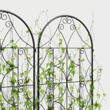 Set Of 2 Rustproof Metal Trellises, Plug-In Type, Support For Climbing Plants, 50 X 150 Cm, Garden Trellis For Indoor Plants, Trellis For Tomatoes, Vegetables, Flowers, Climbing Plants, Black - A - View 3