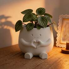 四款3D打印功能性花盆——阅读伴侣花盆、沉思花盆、宁静花盆、梦想家花盆。它们是多肉植物或绿萝的完美家园，可用作桌面笔筒，也是母亲节、生日或乔迁之喜的绝佳礼物。 - 多款式 - 查看 3