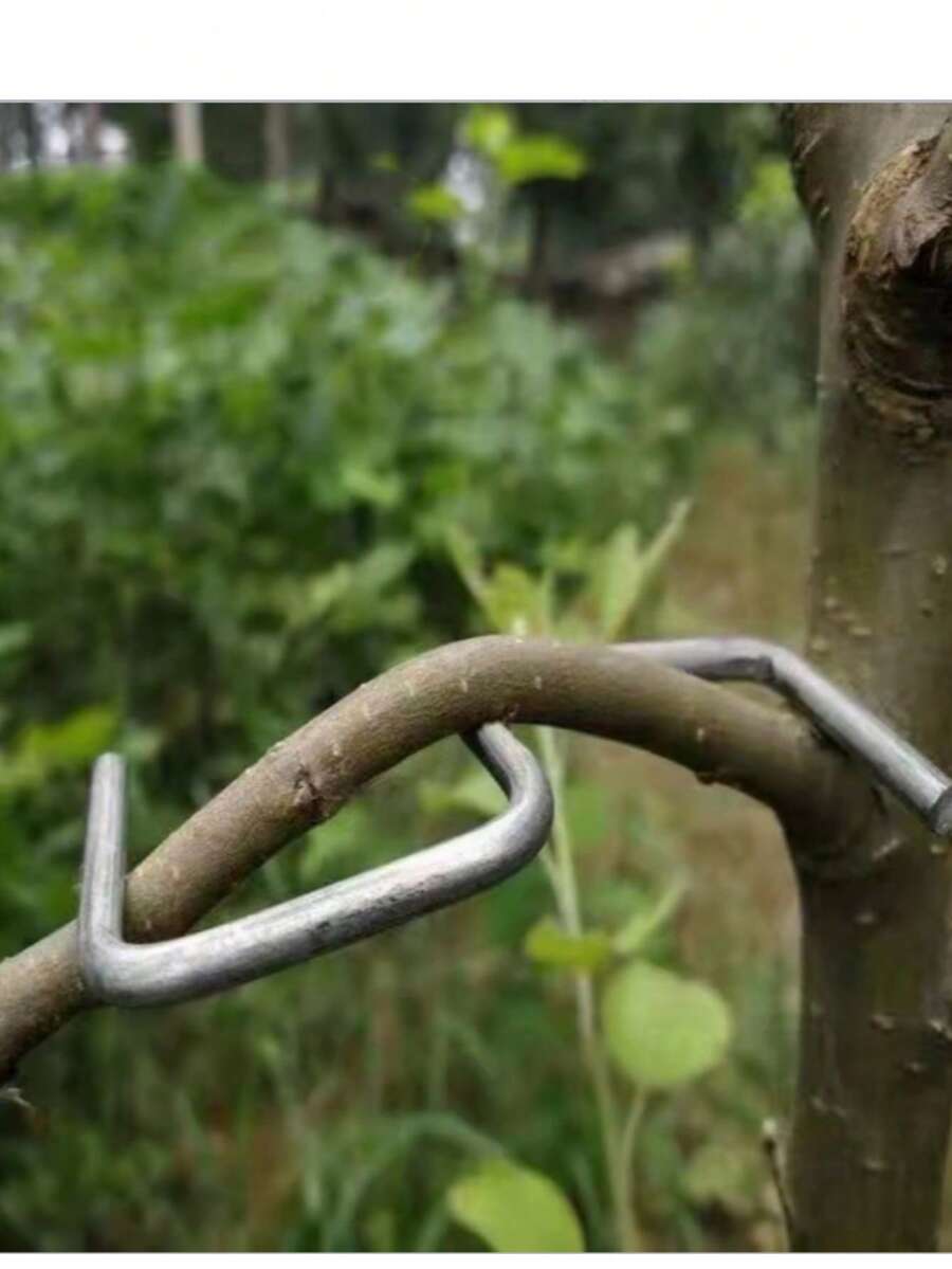 [Dụng cụ uốn định hình cành cây] 10 cái/giây, Dụng cụ định hình cành cây ăn quả, Dụng cụ treo cành cây ăn quả, Dụng cụ kéo cành treo, Dùng để định hình cành cây ăn quả, Dụng cụ uốn cành. - A - Xem 1