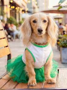PETCIRCLE 1pc Pet Clothes, Dog Cat Outfit, Outdoor Indoor Apparel For Small Dogs Puppies Pomeranian Teddy, Casual Cute Dress, Wedding Tulle Skirt Series Lucky Fairy Tutu Dress - Multicolor - View 3
