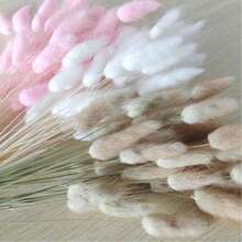 30~240pcs 17-Inch Multicolor Artificial Rabbit Tail Grass, Home Decor Artificial Rabbit Tail Grass Stems, Suitable For Bohemian Style Floral Arrangements, DIY Crafts, Home Kitchen And Wedding Decor, Christmas Decor - White - View 7