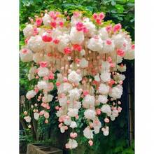 Semillas de flores - Ver 2