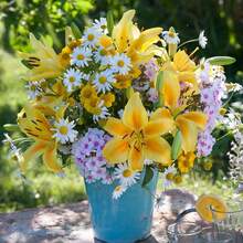 Flower Seeds - View 2