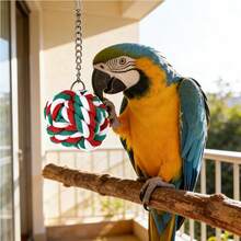 1pc Colorful Cotton Rope Ball Bird Toy, Hanging Rope Ball Chew Foraging Toy - Suitable For Cockatiel, Parakeet, Lovebird, African Grey, Macaw, Conure And Other Bird Species - Fits All Bird Cages And Play Stands - View 4