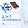 Fast Charging
