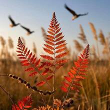 Flower Seeds - View 5