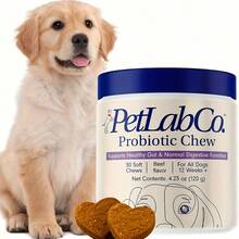 Pet Probiotic Chews, Support Intestinal Health, Nutritional Supplement, Promote Digestion And Absorption, Suitable For All Dog Breeds, Enhance Immunity, Support Hairball Elimination, Halloween Limited Time Offer - View 6