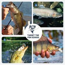 2PCS Mini Glide Bait For Bass Fishing, Fishing Lure, Freshwater Saltwater Multi Jointed Swimbait Wobbler, Glide Baits For Bass Amazing Fishing Gear Gifts For Family - 銀灰 - 查看 4