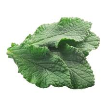 Flower Seeds - View 4