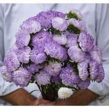 Semi di fiori - Visualizzare 2