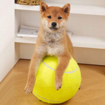 1/3 buah Bola Tenis Anjing Ekstra Besar 9,5 inci, Bola Lempar Interaktif Super Besar 24 cm Cocok untuk Anjing Besar, Bola Tenis Ekstra Besar Tahan Lama yang Berbunyi untuk Bermain di Luar Ruangan