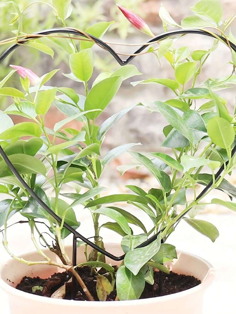 Giá đỡ cây hình trái tim - Được làm từ nhựa bền, thiết kế hình tròn giúp thúc đẩy sự phát triển của hoa và cây - Thích hợp sử dụng trong nhà và ngoài trời - Tạo điểm nhấn độc đáo cho trang trí nhà và vườn. Giá đỡ cây, đồ trang trí sân vườn ngoài trời, đồ trang trí sân vườn, chậu trồng cây. - A - Xem 7