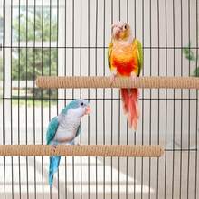 1pc Parrot Perch Rope Stand, Available In Multiple Lengths, Includes Screws For Secure Mounting, Suitable For Cockatiel, Lovebird, Parakeet, Enrichment Perch, Bird Cage Accessory, Parrot Toy, Bird Supplies - View 10