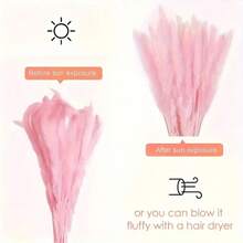 15/30/45/60/120pcs Pampas Grass Bouquet - Faux Fluffy White & Brown Rattan Decor, Suitable For Home, Vase, Room, Wedding, Party - Fit For Christmas, Halloween, Easter, Thanksgiving - No Electricity Needed, Enjoy The Good Life - Pink - View 4