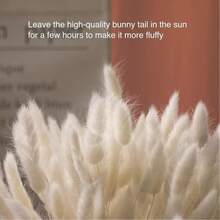 30~240pcs 17-Inch Multicolor Artificial Rabbit Tail Grass, Home Decor Artificial Rabbit Tail Grass Stems, Suitable For Bohemian Style Floral Arrangements, DIY Crafts, Home Kitchen And Wedding Decor, Christmas Decor - White - View 5