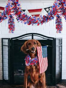 4 Packs, Total 26.4ft Red White Blue Patriotic Metallic Sequin Fringe Trim With American Flag, Suitable For July 4th Independence Day, Veterans Day, Memorial Day, Labor Day, Patriotic Themed Party, BBQ, Parade Decor, Wreath Making, Gift Wrapping, Classroom Crafts And Holiday Table Decor - Independence Day Elements - View 7